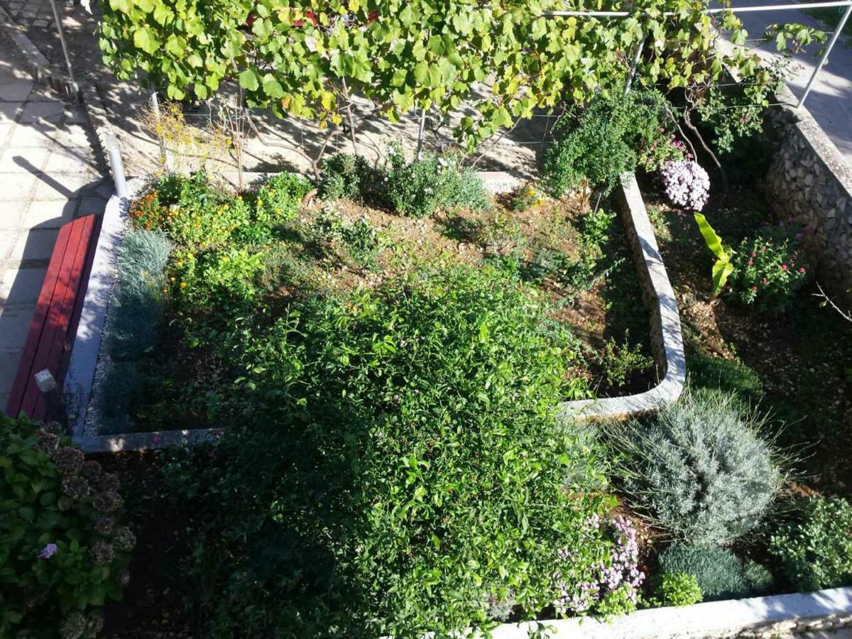 Apartment Lavanda Nova Razanj Exterior photo